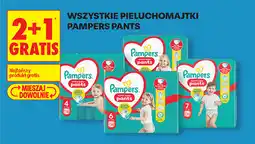 Biedronka Wszystkie pieluchomajtki Pampers Pants oferta