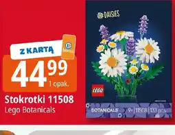 E.Leclerc Lego Stokrotki 11508 oferta