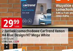 E.Leclerc CarTrend żarówki samochodowe oferta