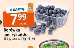 E.Leclerc Borówka amerykańska oferta