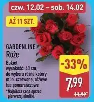 ALDI GARDENLINE Róże bukiet oferta