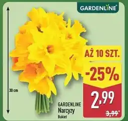 ALDI GARDENLINE Narcyzy (bukiet) oferta