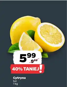 Netto Cytryna oferta