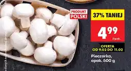 Biedronka Pieczarki oferta