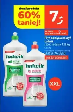 Dealz Płyn do mycia naczyń Ludwik oferta