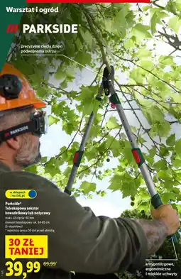Lidl Parkside Teleskopowy sekator kowadełkowy lub nożycowy oferta