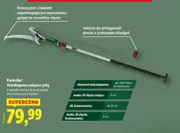 Lidl Parkside Teleskopowe nożyce z piłą oferta