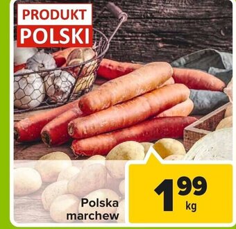 Carrefour Polska marchew 1kg oferta