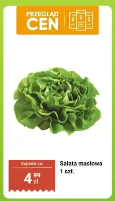 Dino Sałata masłowa 1 szt oferta