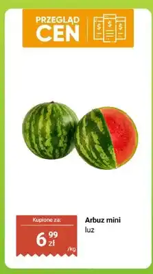 Dino Arbuz mini luz oferta