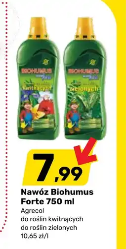 Bricomarche Nawóz Biohumus oferta