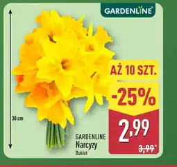ALDI Bukiet Gardenline oferta
