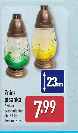 ALDI Znicz Ok oferta
