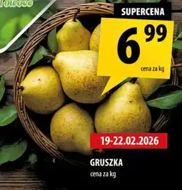 Arhelan Gruszka oferta
