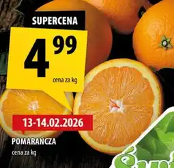 Arhelan Pomarańcza oferta