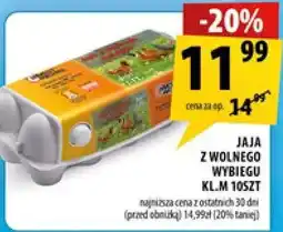 Arhelan Jaja z wolnego wybiegu KLM 10szt oferta