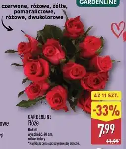 ALDI Róże żółte Gardenline oferta