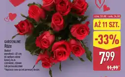 ALDI Gardenline Róże oferta