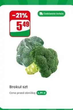 Dino Brokuł 1 szt oferta