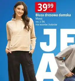 E.Leclerc Bluza dresowa Moraj oferta
