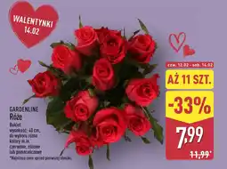 ALDI Bukiet Gardenline oferta