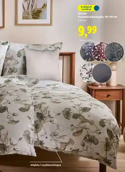 Lidl Poszewka Livarno oferta