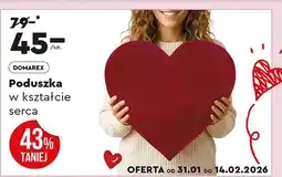Biedronka Poduszka Domarex oferta
