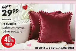 Biedronka Poduszka Domarex oferta