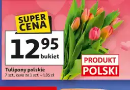 Auchan Tulipany polskie oferta