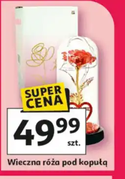Auchan Wieczna róża pod kopułą oferta