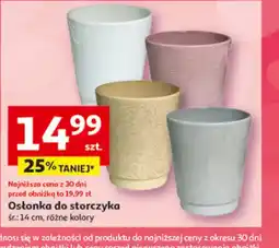 Auchan Osłonka do storczyka oferta