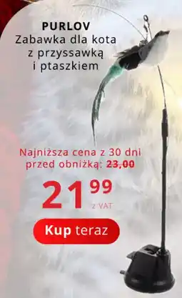 Poczta Polska PURLOV Zabawka dla kota z przyssawką i ptaszkiem oferta