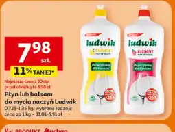 Auchan Ludwik płyn do naczyń oferta