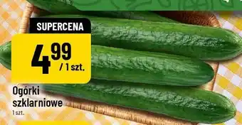 Polomarket Ogórki szklarniowe oferta