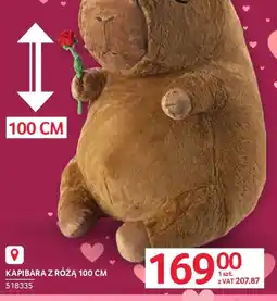 Selgros Kapibara z różą oferta