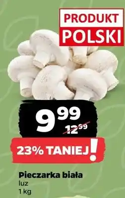 Netto Pieczarka biała luz oferta
