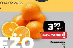 Netto Pomarańcza oferta