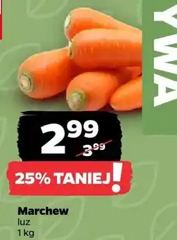 Netto Marchew luz oferta