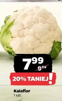 Netto Kalafior oferta