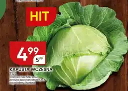 Chata Polska Kapusta wczesna oferta