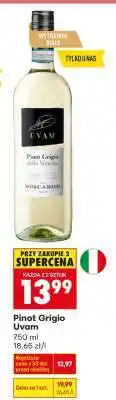 Biedronka PINOT GRIGIO UVAM oferta