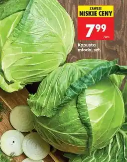 Biedronka Kapusta młoda szt oferta