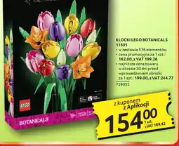 Selgros LEGO Klocki Botanicals oferta