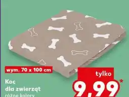 Kaufland Koc dla zwierząt różne kolory oferta
