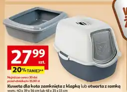 Auchan Kuweta dla kota oferta