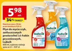 Auchan Płyn do mycia kabin prysznicowych active foam floral violet Ludwik oferta