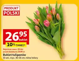 Auchan Tulipany polskie 35 cm oferta