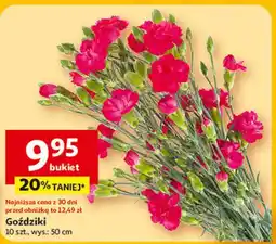 Auchan Goździki 50 cm oferta