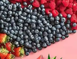 Netto Borówka oferta