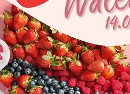 Netto Mleko UHT 3,2% oferta